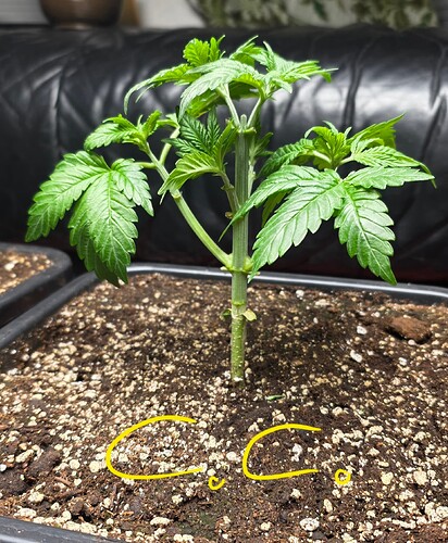 Growreport Bild 9