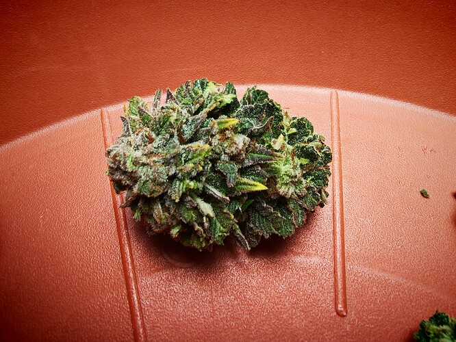Growreport Bild 18