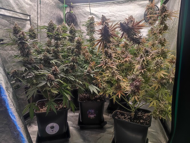 Growreport Bild 21