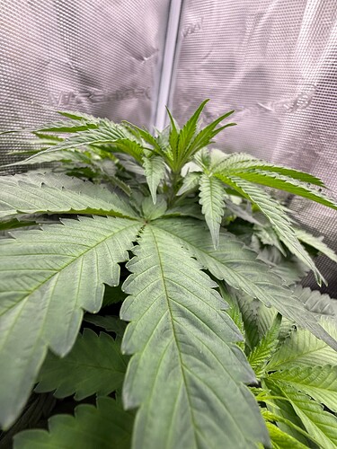 Growreport Bild 9
