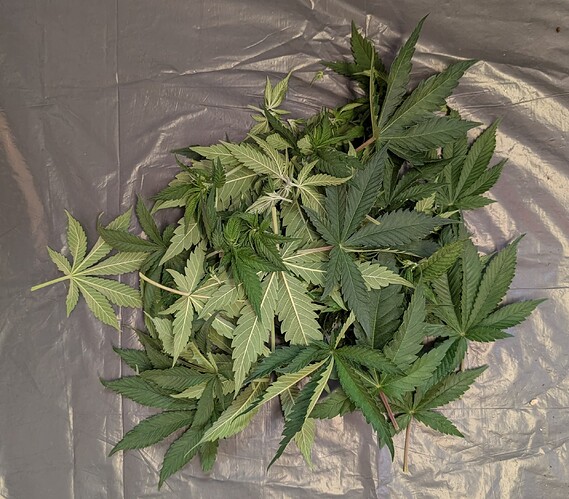 Growreport Bild 14