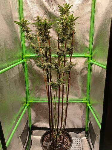 Growreport Bild 16