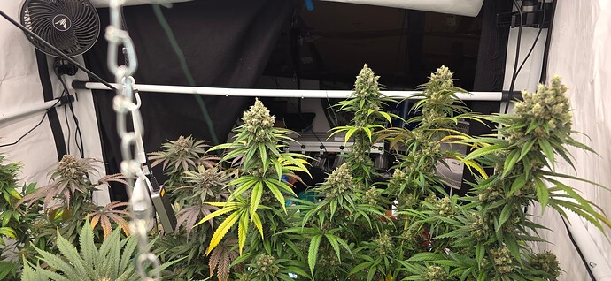 Growreport Bild 8