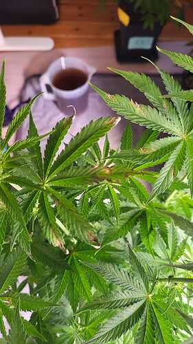 Growreport Bild 15