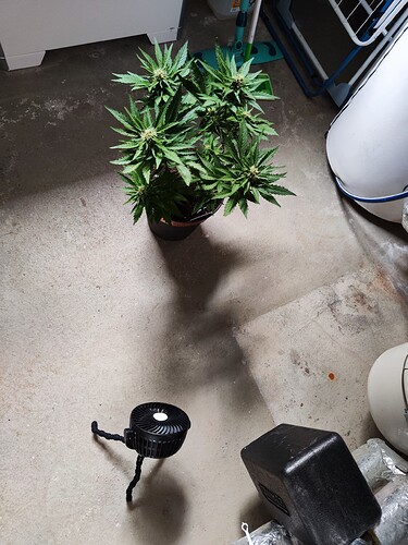Growreport Bild 1