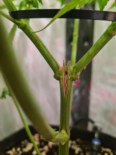 signal-2024-09-02-163302_005