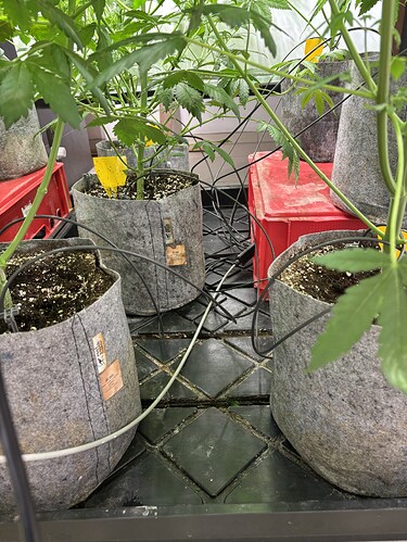 Growreport Bild 13