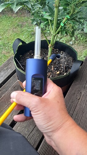 Growreport Bild 53