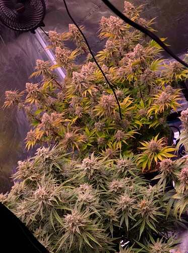 Growreport Bild 5