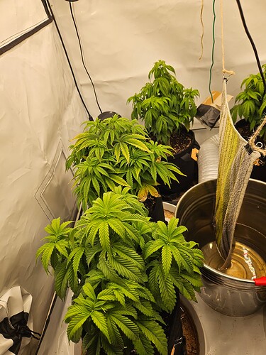 Growreport Bild 22