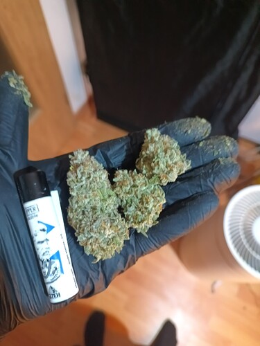 Growreport Bild 3