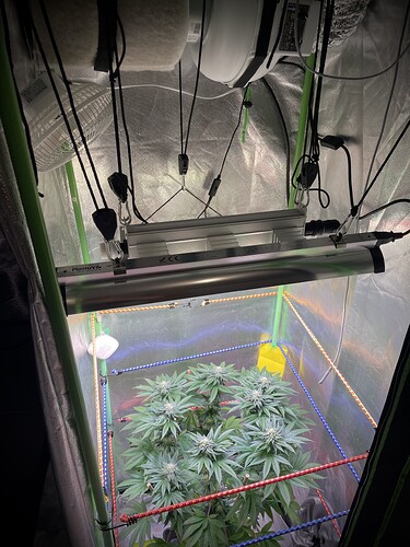 Growreport Bild 4