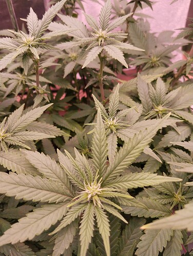 Growreport Bild 5