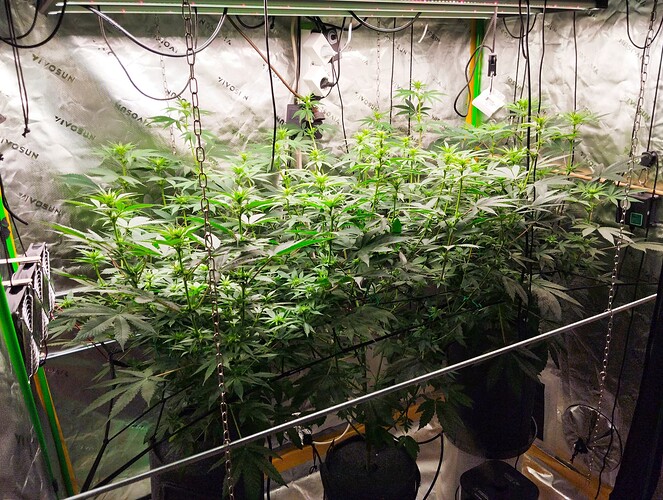 Growreport Bild 22
