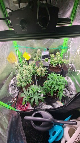 Growreport Bild 18