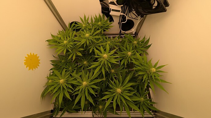 Growreport Bild 24