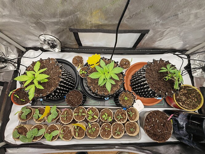 Growreport Bild 10