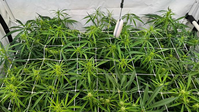 Growreport Bild 10