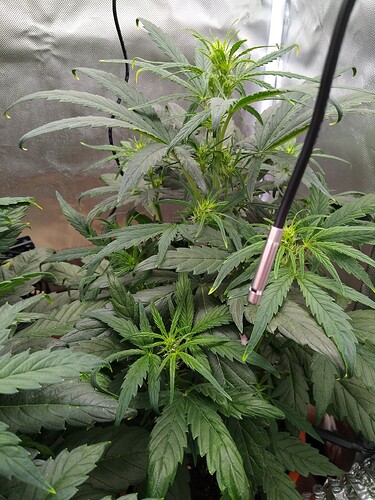 IMG_20240510_215733013