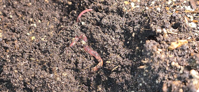 Growreport Bild 6