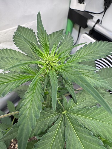 Growreport Bild 17