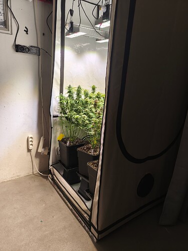 Growreport Bild 4
