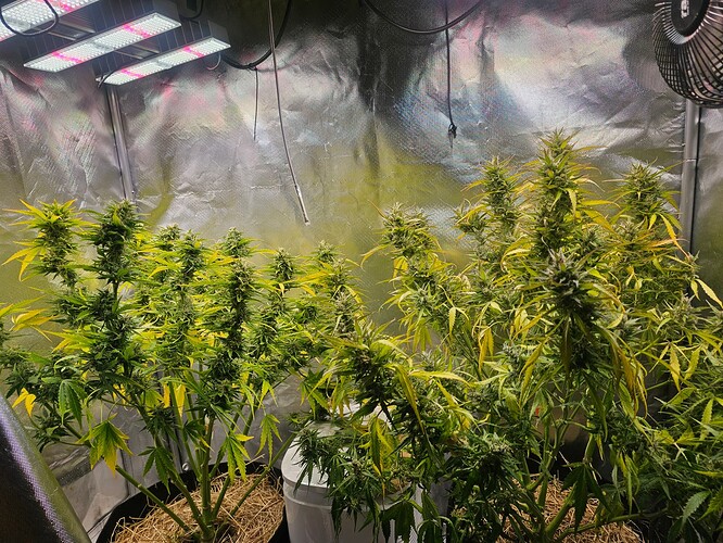 Growreport Bild 17