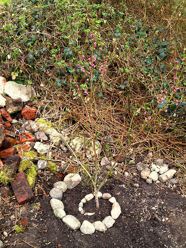 Grow26_0412_Treppe_2