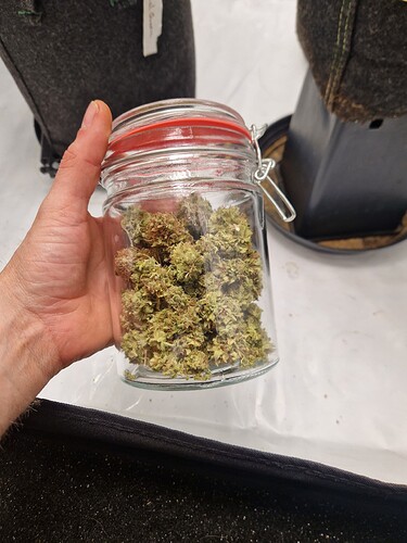Growreport Bild 1