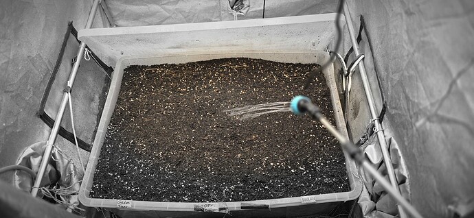 Growreport Bild 11
