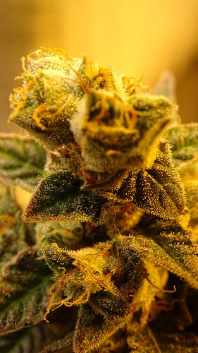Growreport Bild 14