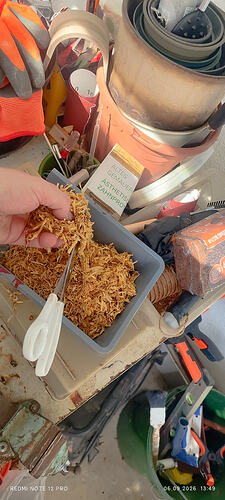 IMG_20260906_134903