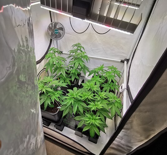 Growreport Bild 1