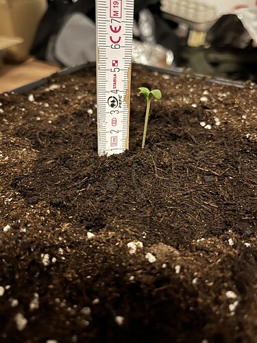 Growreport Bild 1