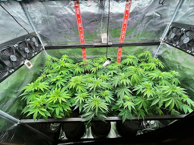 Growreport Bild 11