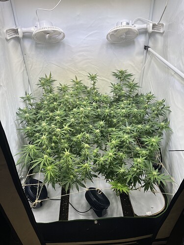 Growreport Bild 2
