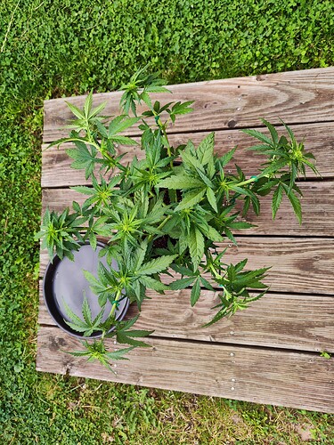 Growreport Bild 22