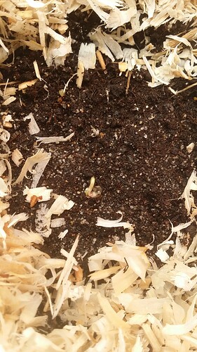 Growreport Bild 70