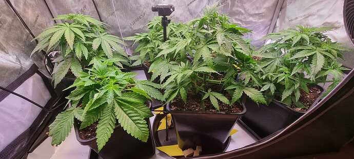 WhatsApp Image 2025-12-13 at 14.02.38 (1)