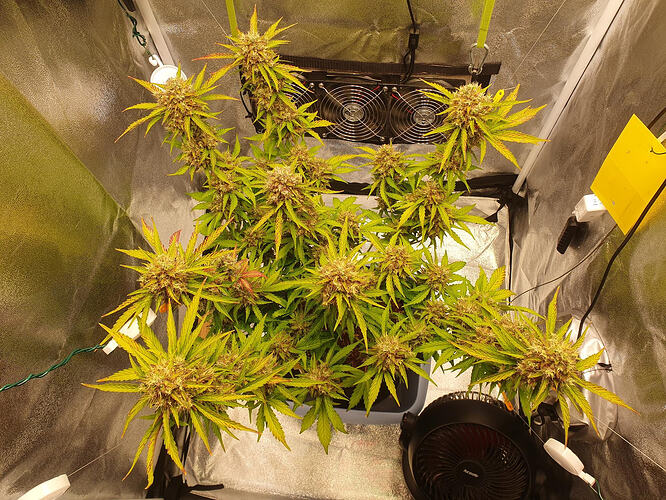 Tag 77 -2025-08-29-184806_002