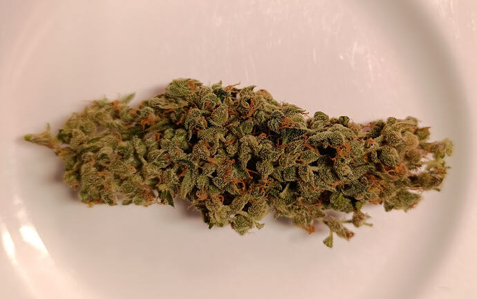 Growreport Bild 19