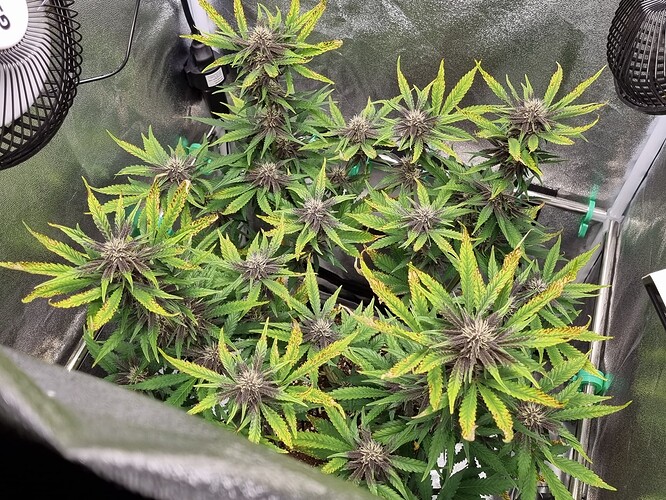 Growreport Bild 13