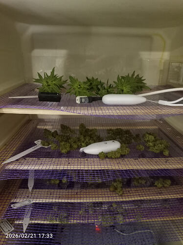 Growreport Bild 11