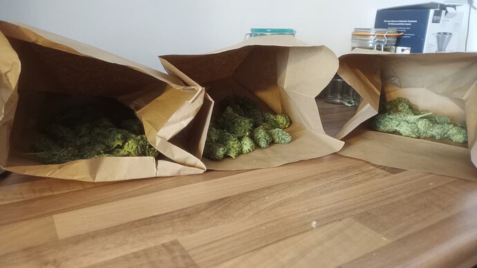 Growreport Bild 5