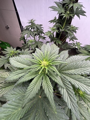 Growreport Bild 4