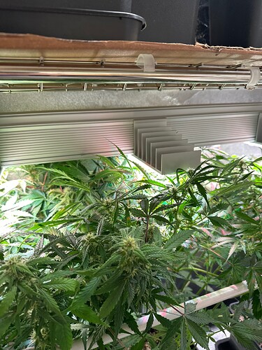 Growreport Bild 12