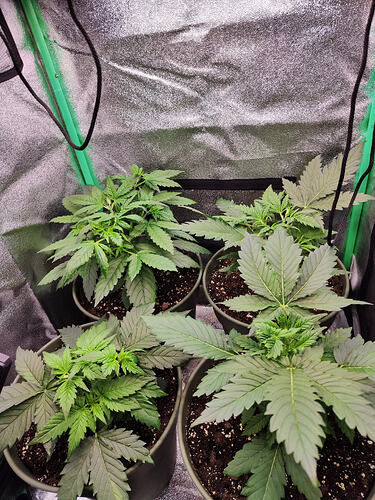 IMG_20260420_095619 (1)