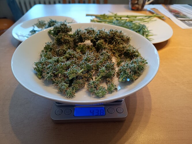Growreport Bild 9