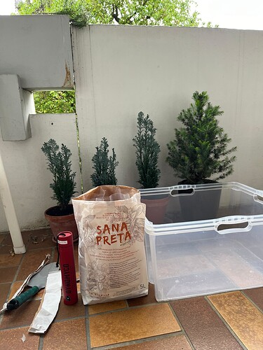 SanaPreta und Dynomyco