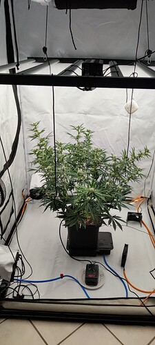 IMG_20250608_173721